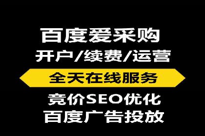 百度推广在电商行业的应用案例分析